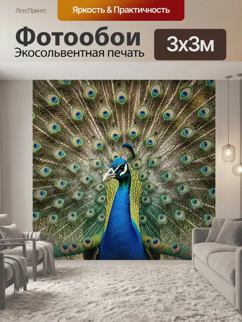 Фотообои Павлин с раскрытым хвостом
