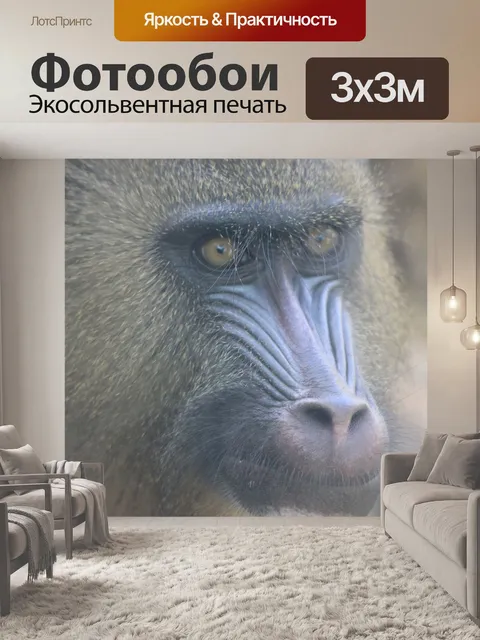 Фотообои Мандрил