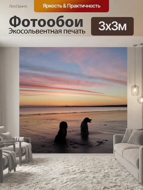 Фотообои Восход солнца