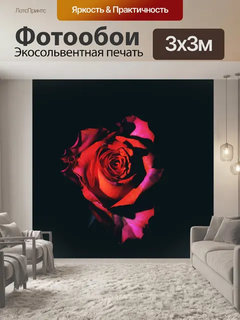 Фотообои Роза