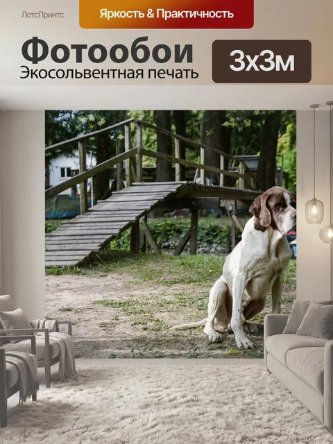 Фотообои Собака