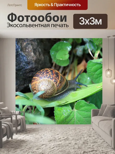 Фотообои Сад улитки среди зеленых листьев