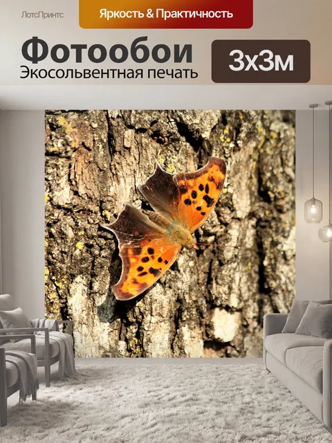 Фотообои Вопрос Марк Баттерфляй на дереве