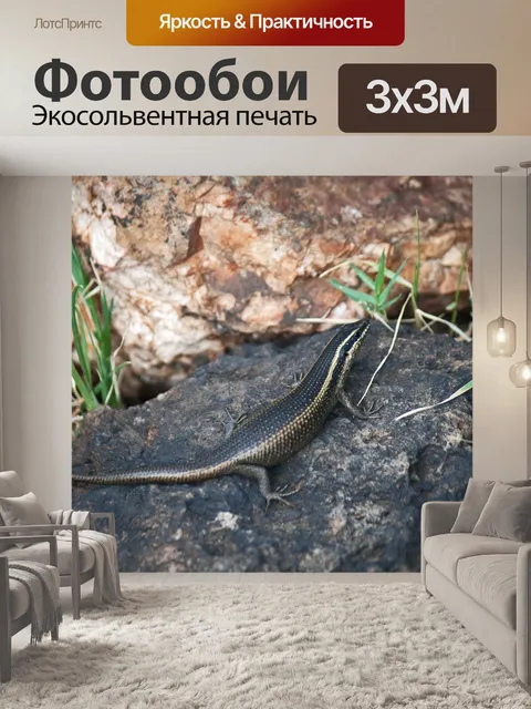 Фотообои толстый черный африканский полосатый сци