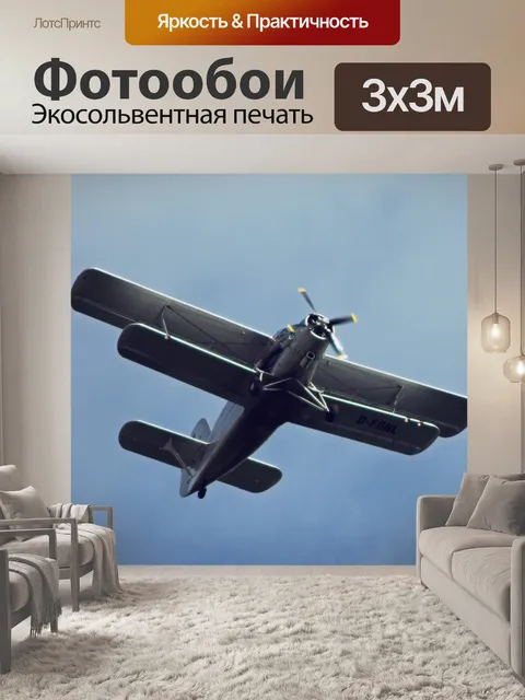 Фотообои Самолет в воздухе