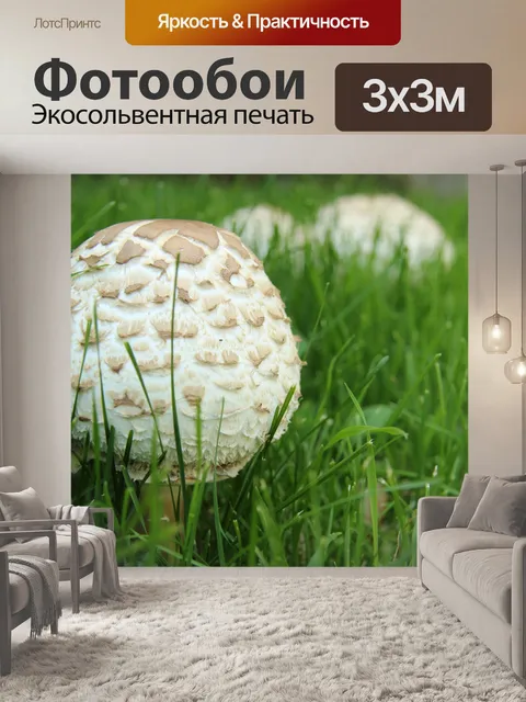 Фотообои Дикий коричневый гриб