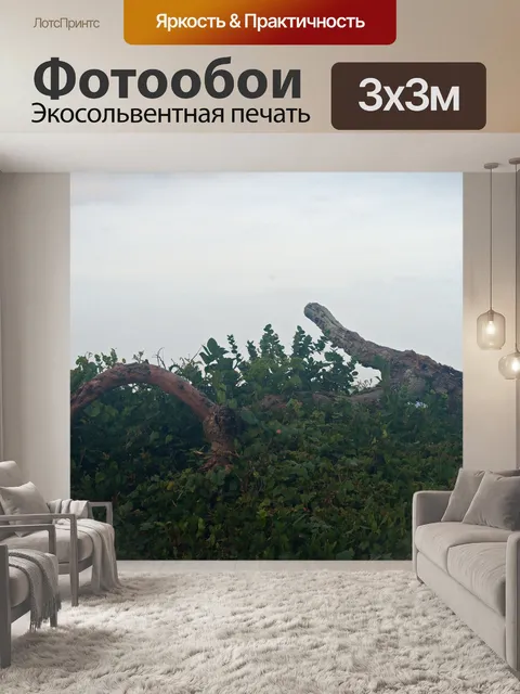 Фотообои Арочные мертвые ветви