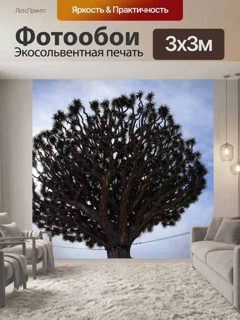 Фотообои Канарское драконово дерево