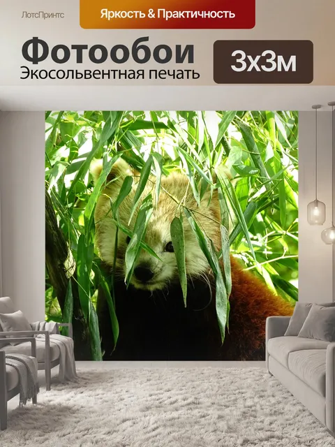 Фотообои Животное