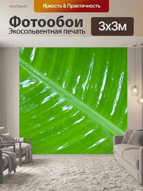 Фотообои мокрый подробно лист