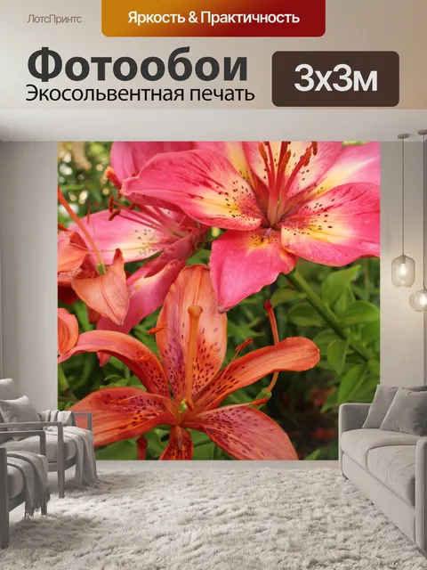 Фотообои Цветок лилии розовый Красный Оранжевый