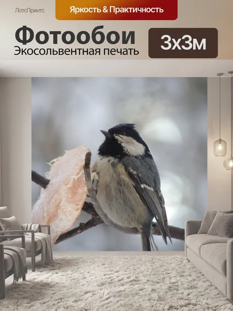 Фотообои Зима