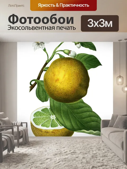 Фотообои Лимонный Апельсин Винтаж Клипарт