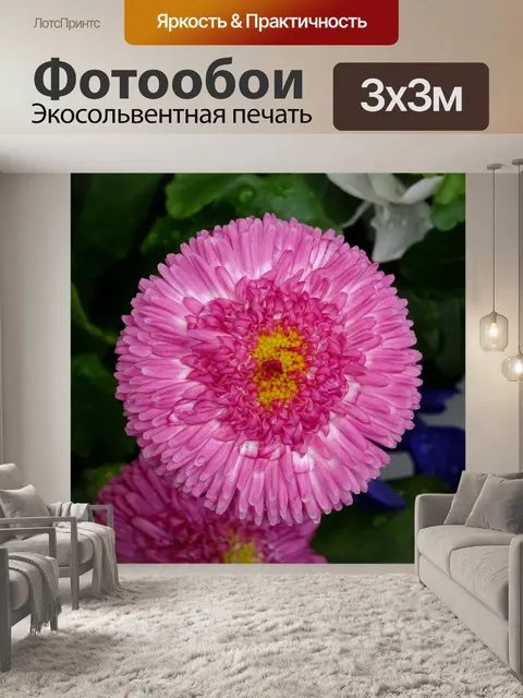Фотообои Розовый и желтый цветок