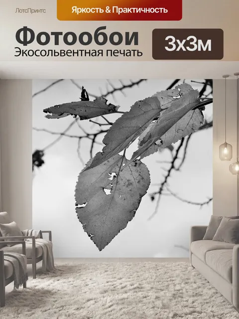 Фотообои черные и белые листья