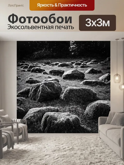 Фотообои поле, заполненное мшистыми камнями и таинственными тенями, передающих атмосферу загадочности, с…