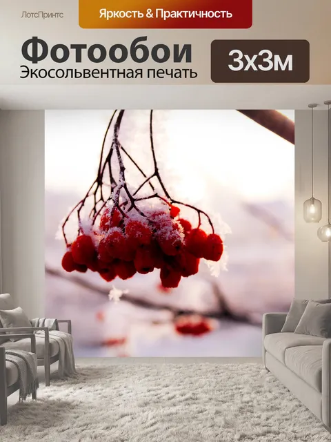 Фотообои Рябина