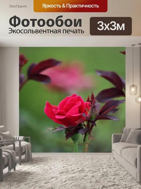 Фотообои Красный бутон розы и листья