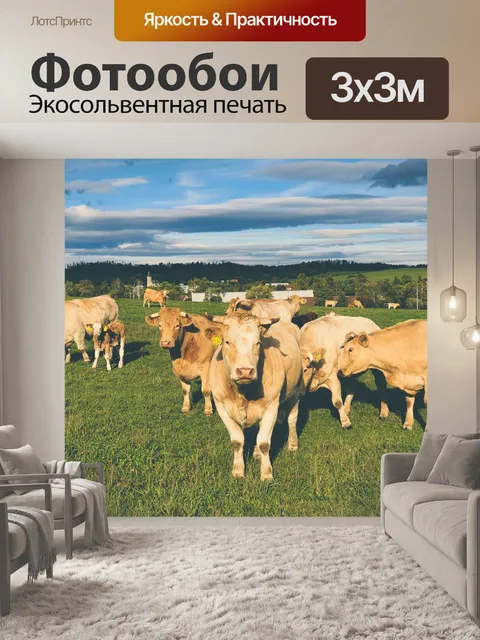 Фотообои Стадо коров