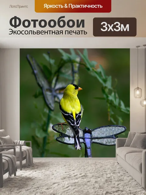 Фотообои Золото финч