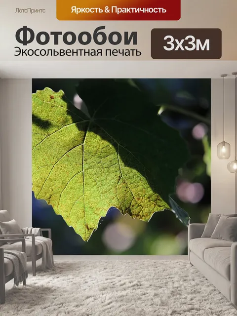 Фотообои Лоза