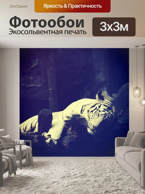 Фотообои тигр в зоопарке Таиланда