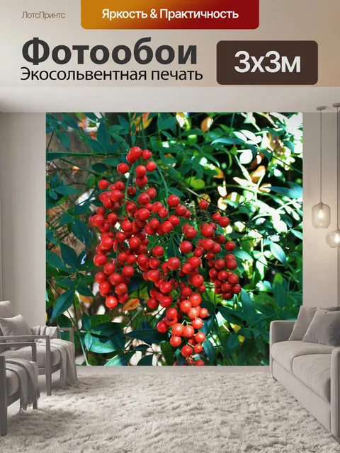 Фотообои красные ягоды святого Бамбук