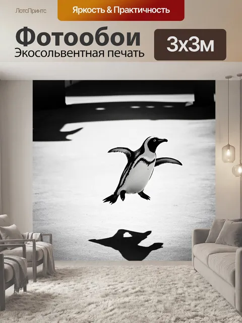 Фотообои пингвин, взлетающий под яркое утреннее солнце в зоопарке, его тень растягивается по земле