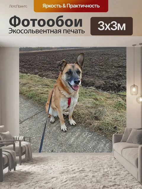Фотообои Малинуа
