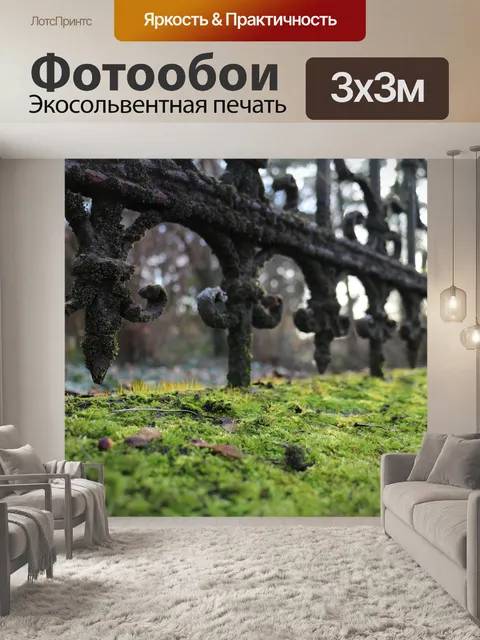 Фотообои Старый