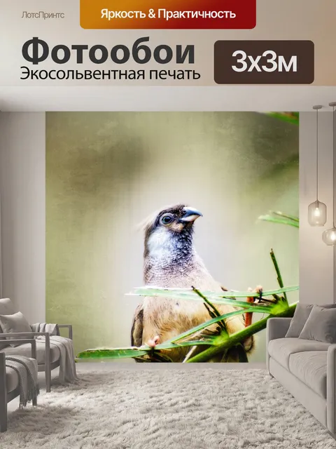 Фотообои Птица