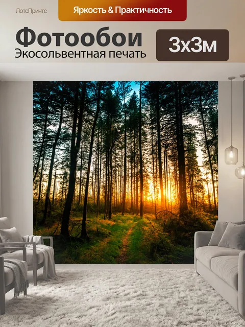 Фотообои лес в вечернее время с яркими закатными цветами на небе