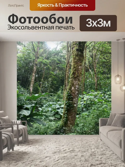 Фотообои Коста-Рика тропических лесов