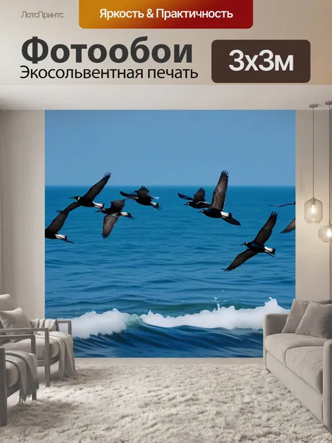 Фотообои океанские птицы, летающие над водой