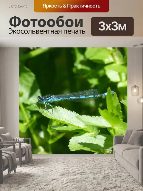 Фотообои Стрекоза