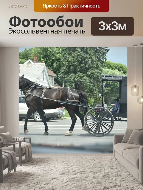 Фотообои Амиш