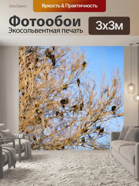Фотообои птицы в голом дереве