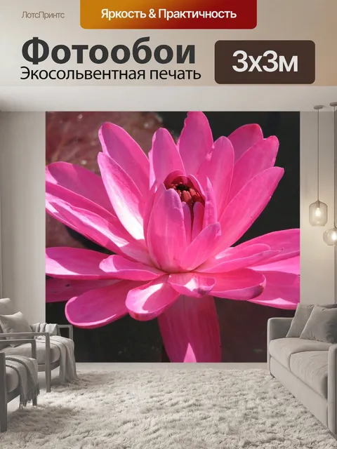 Фотообои Водяная лилия
