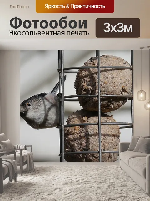 Фотообои Садовые птицы