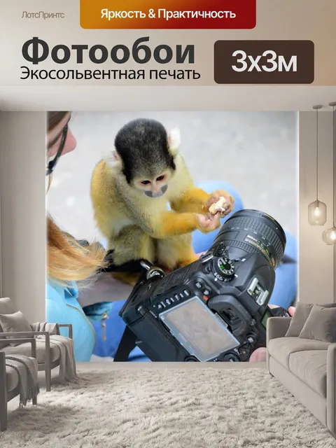 Фотообои Беличьих обезьян 4