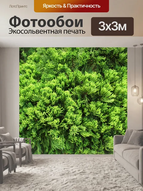 Фотообои Сосна листья фон
