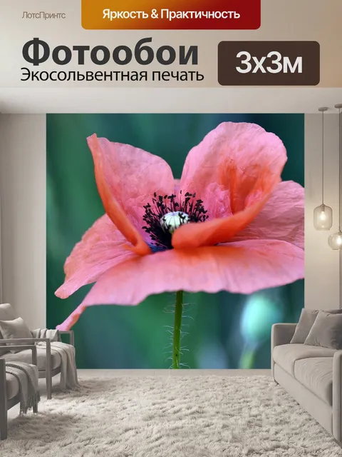 Фотообои Мак