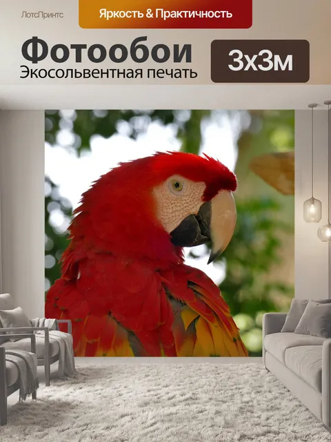 Фотообои Птица