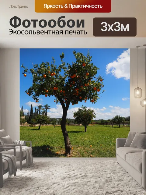 Фотообои Герани
