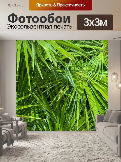 Фотообои Зеленые пальмовые листья фон