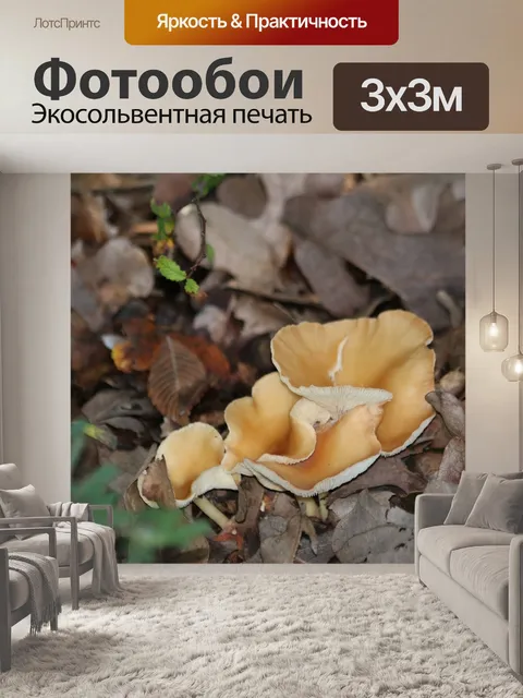 Фотообои Золотые и белые грибы в листьях