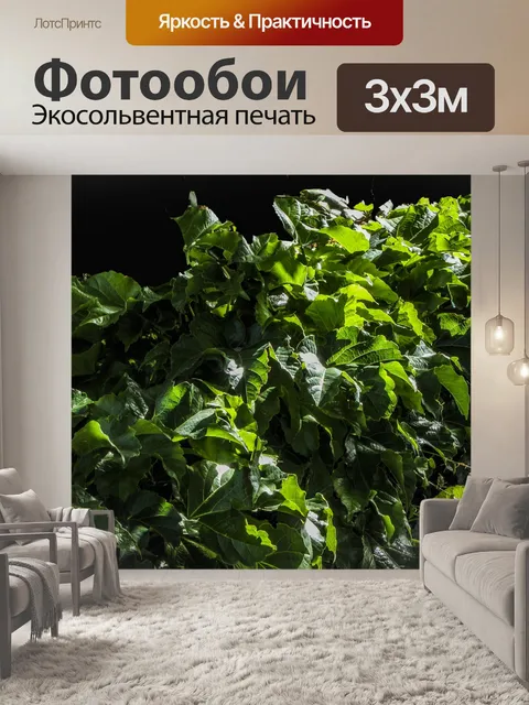 Фотообои Зеленый фон с листьями