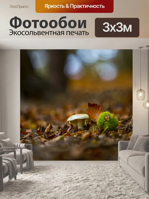 Фотообои грибы