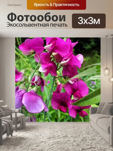 Фотообои Летом