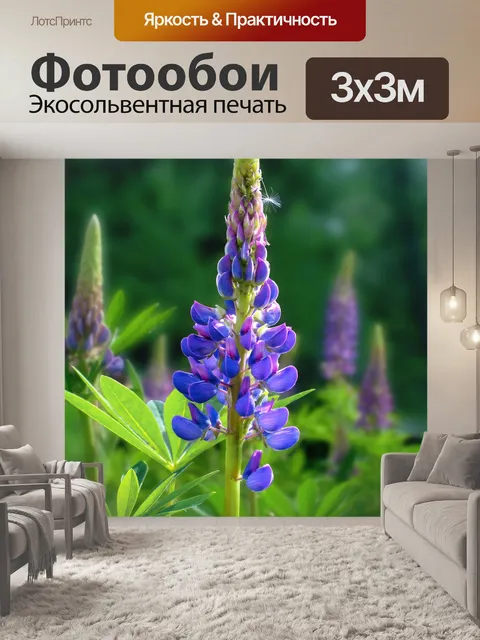 Фотообои Люпины